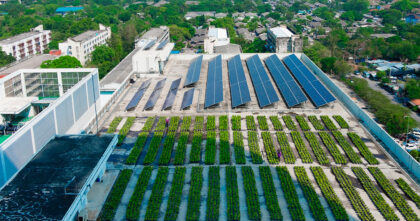 Techos verdes y edificios sustentables