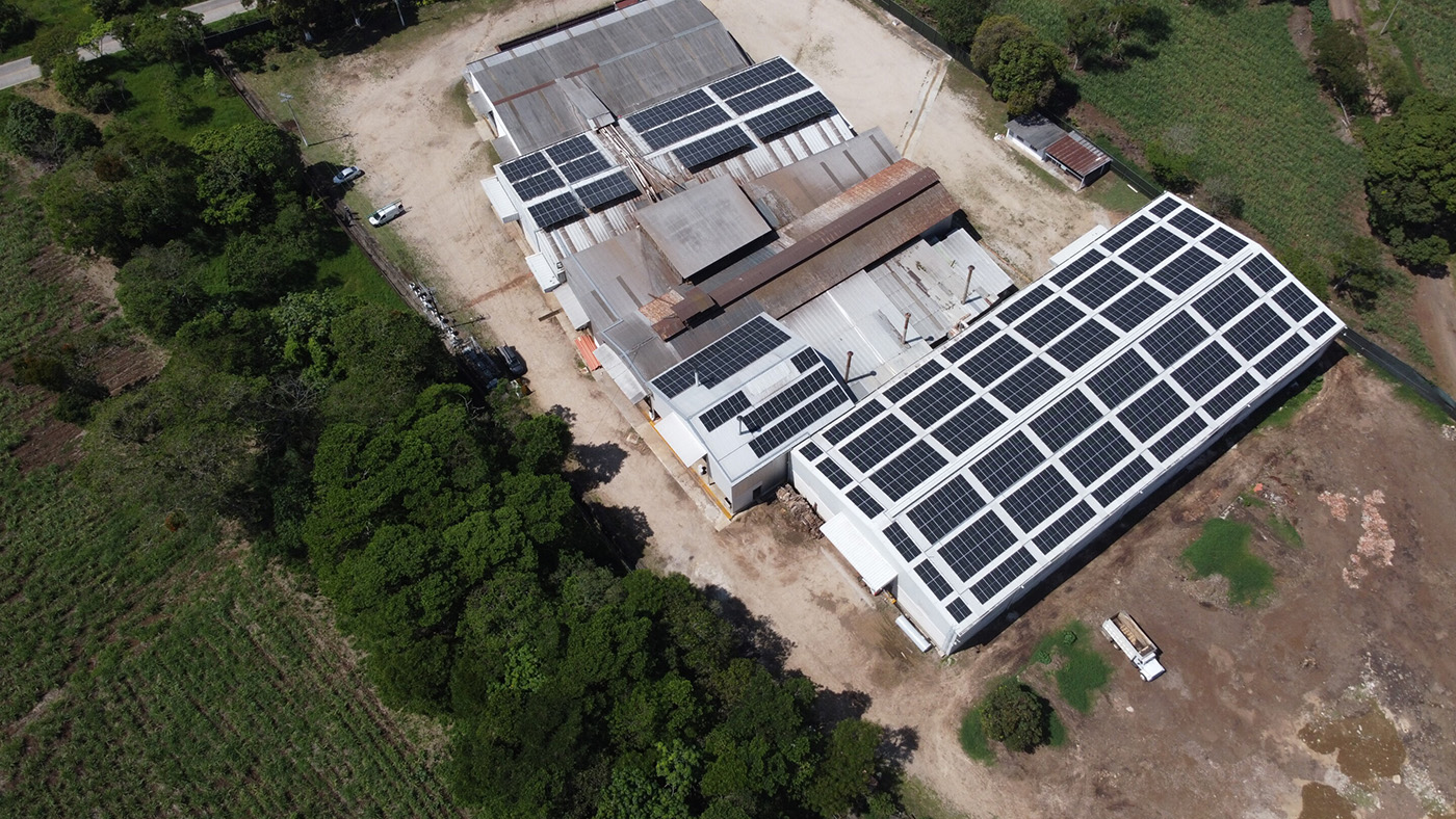 Grupo Cafetalero San Francisco apuesta por energía solar, instalando más de 800 paneles solares