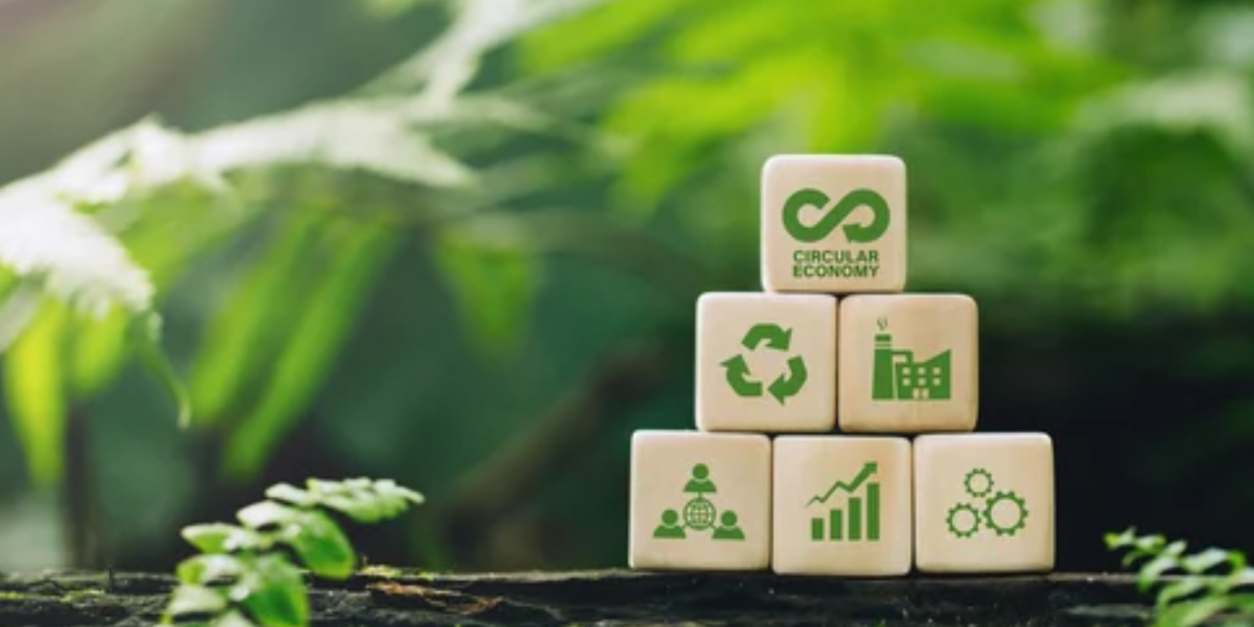 Pasos efectivos para mejorar tus objetivos empresariales en materia de sustentabilidad 